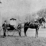 Photograph of ladies in horse and buggy